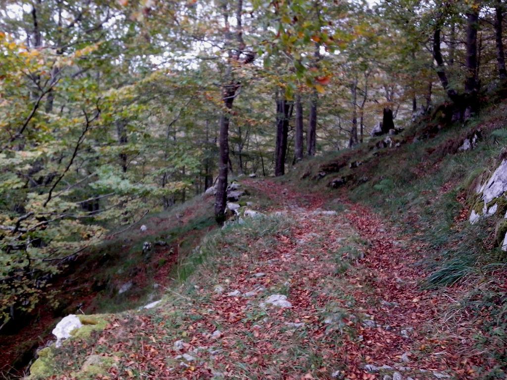 El Cerro Villa La Concha  Luaran gambar